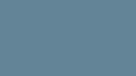 FM08