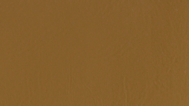 NP04